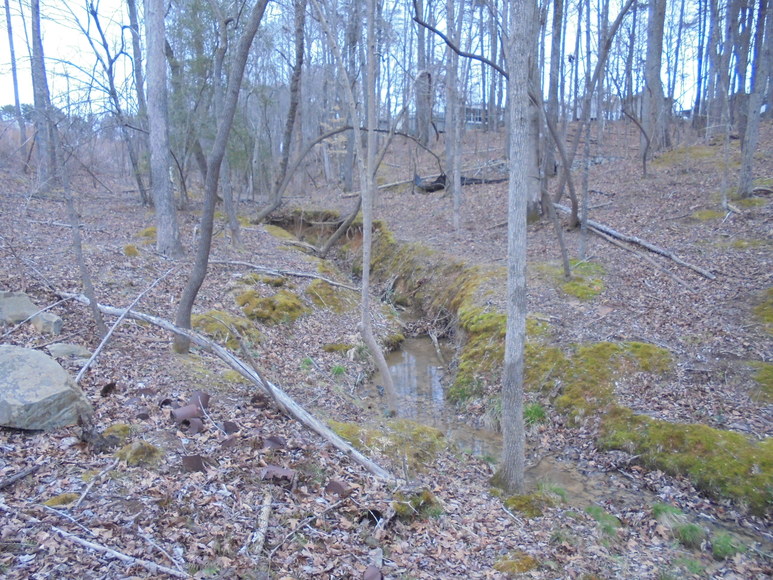 Image for REAL ESTATE AUCTION (50.67 AC) VACANT LAND~BADIN LAKE