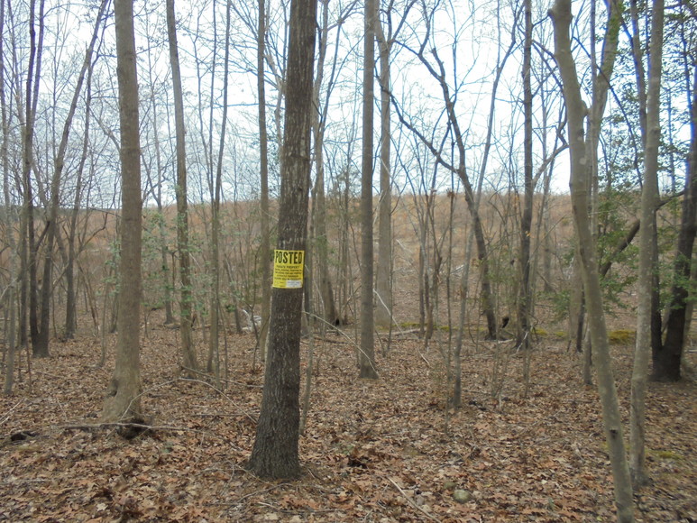 Image for REAL ESTATE AUCTION (50.67 AC) VACANT LAND~BADIN LAKE