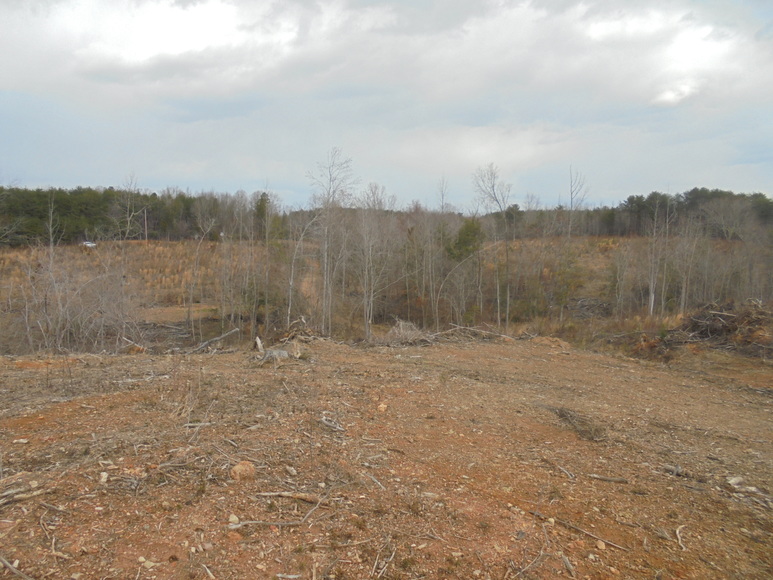 Image for REAL ESTATE AUCTION (50.67 AC) VACANT LAND~BADIN LAKE