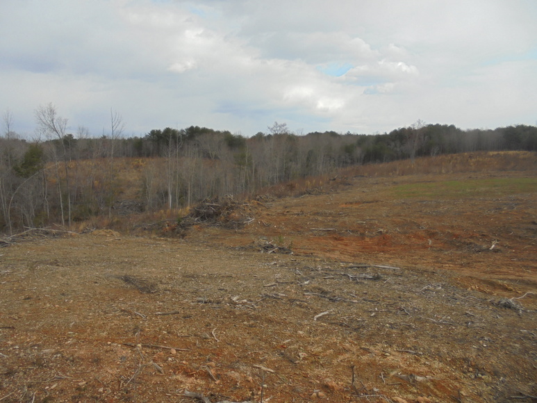 Image for REAL ESTATE AUCTION (50.67 AC) VACANT LAND~BADIN LAKE