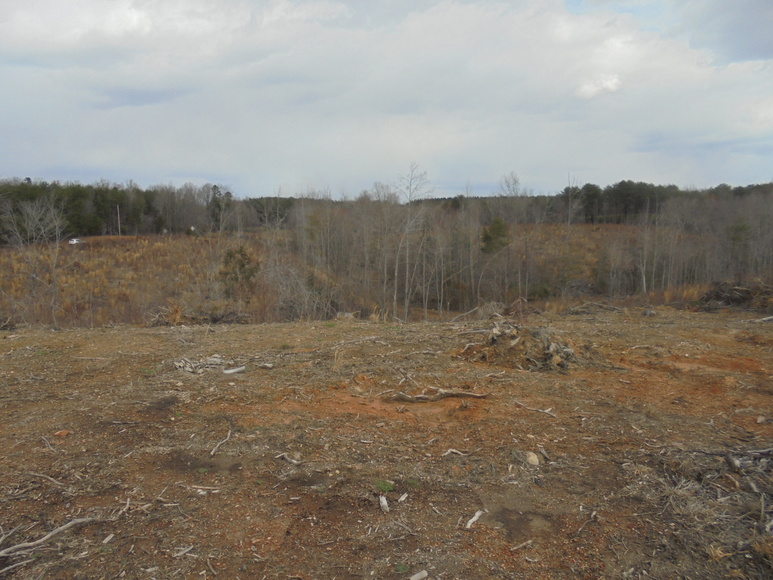 Image for REAL ESTATE AUCTION (50.67 AC) VACANT LAND~BADIN LAKE