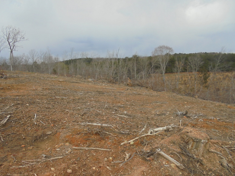 Image for REAL ESTATE AUCTION (50.67 AC) VACANT LAND~BADIN LAKE