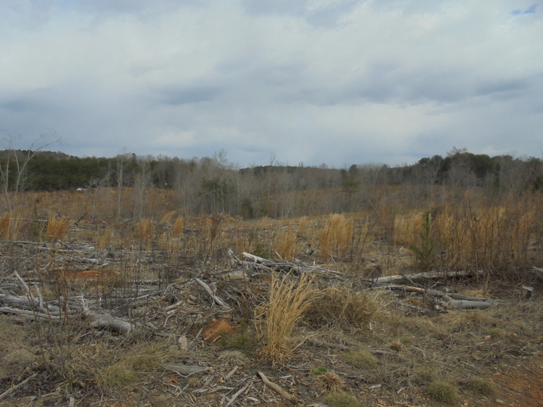 Image for REAL ESTATE AUCTION (50.67 AC) VACANT LAND~BADIN LAKE