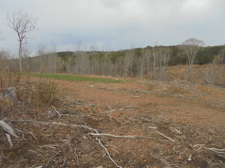 Image for REAL ESTATE AUCTION (50.67 AC) VACANT LAND~BADIN LAKE