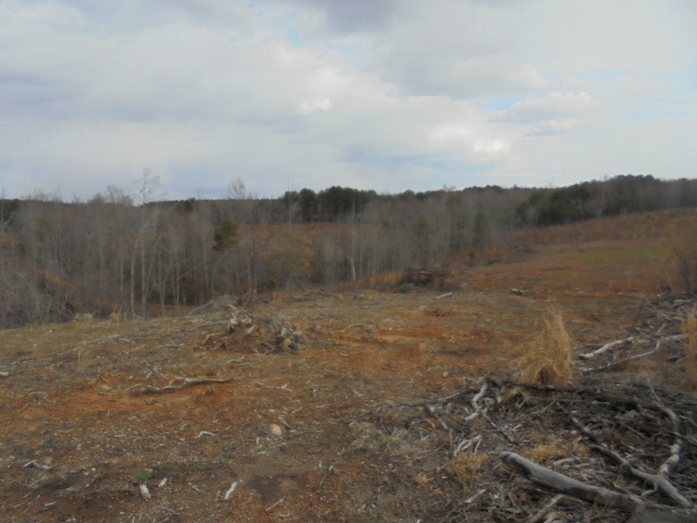 Image for REAL ESTATE AUCTION (50.67 AC) VACANT LAND~BADIN LAKE