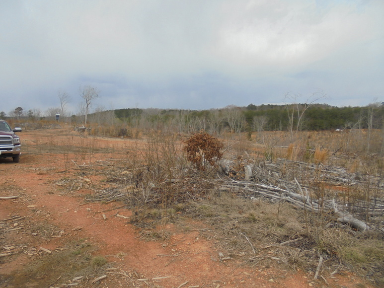 Image for REAL ESTATE AUCTION (50.67 AC) VACANT LAND~BADIN LAKE