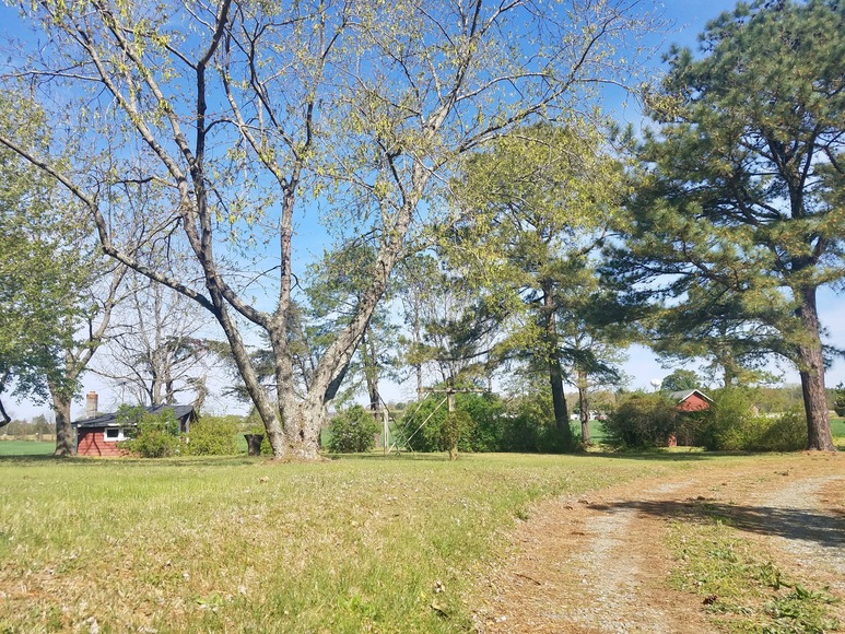 Image for 4 BR/2 BA Brick Cape Cod Style Home on 2.8 +/- Acres in Warsaw, VA (Richmond County)