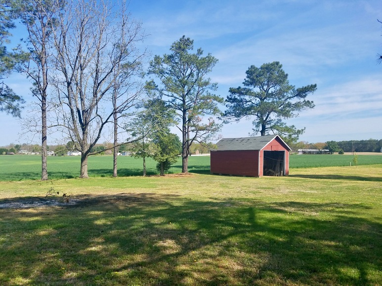 Image for 4 BR/2 BA Brick Cape Cod Style Home on 2.8 +/- Acres in Warsaw, VA (Richmond County)