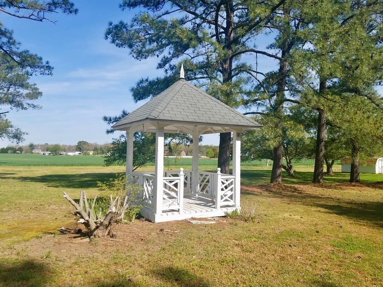 Image for 4 BR/2 BA Brick Cape Cod Style Home on 2.8 +/- Acres in Warsaw, VA (Richmond County)