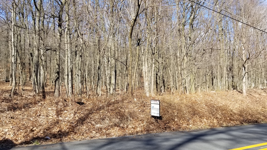 Image for Spring Hill Acres Building Lot