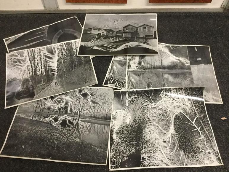 Image for Discovery Art Auction: 5-3-18