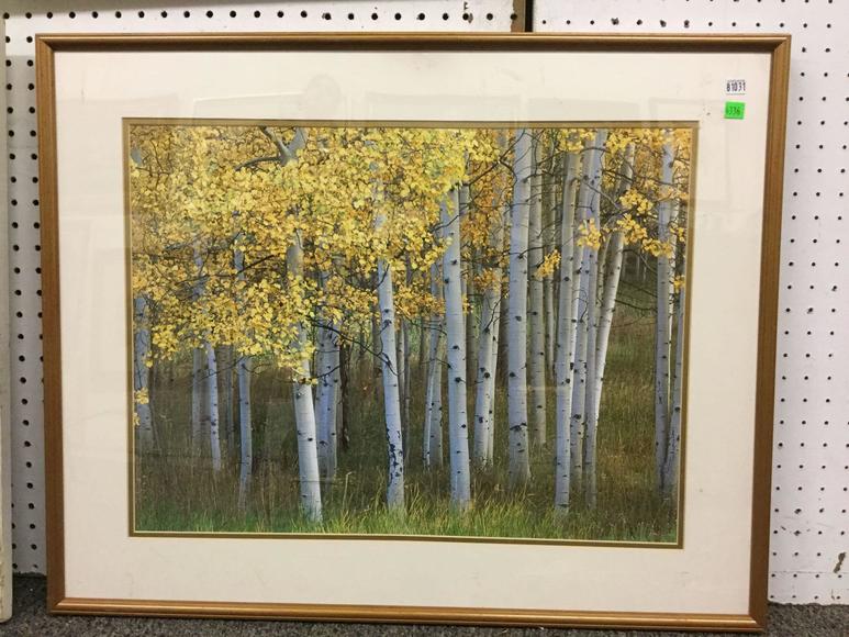 Image for Discovery Art Auction: 5-3-18