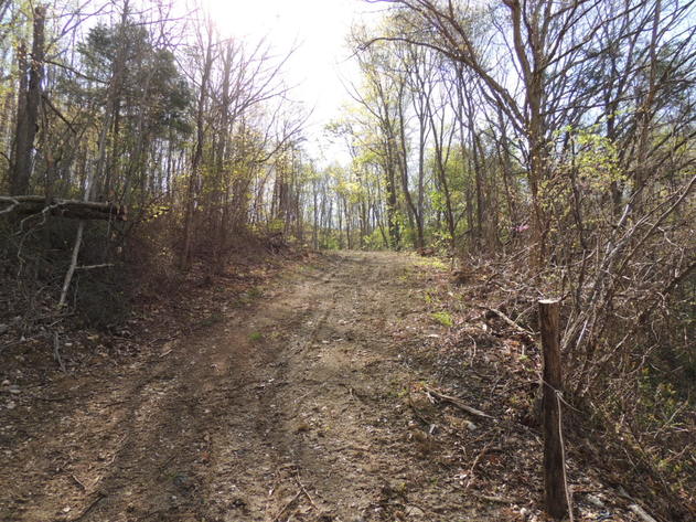 Image for 23.75 Wooded Acres in Giles County
