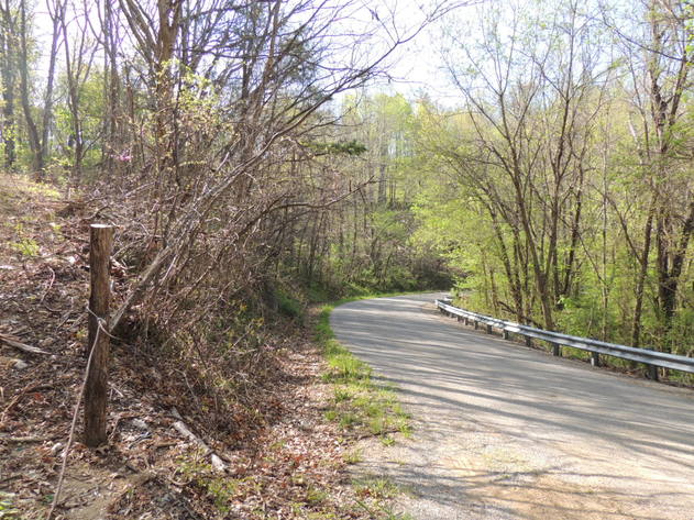 Image for 23.75 Wooded Acres in Giles County