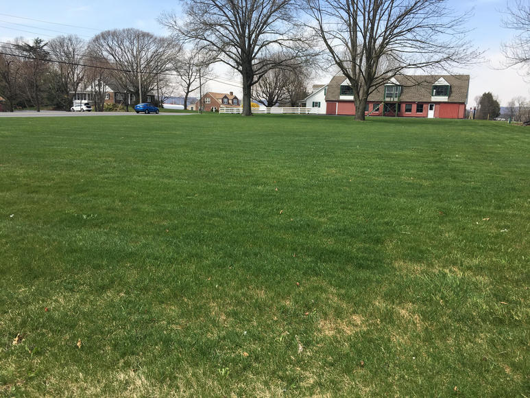 Image for Absolute Real Estate and Personal Property Auction - Jonestown, PA