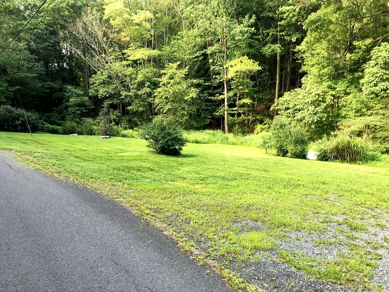 Image for Real Estate Auction - Home on (+/-) 6 Acres (Pine Grove)