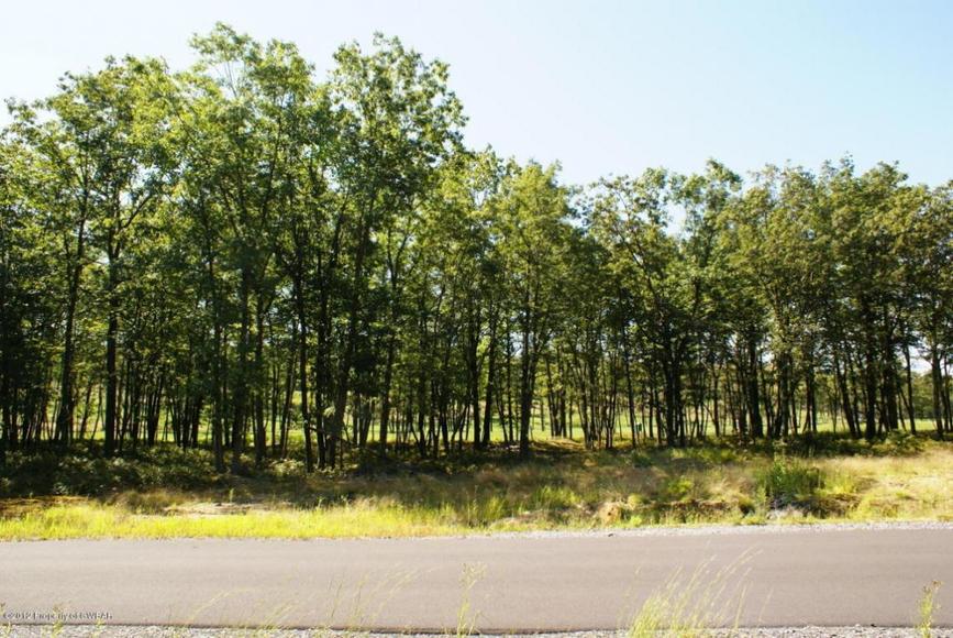 Image for Online Only Auction - Building Lot (Eagle Rock Resort)