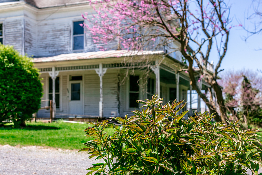 Image for House on 3 Acres of R3 Land
