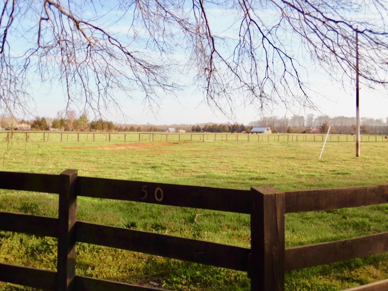 Image for 69.5 +/- Acres of Beautiful Land w/Barn, Fencing, Pond & Creek in Culpeper County, VA