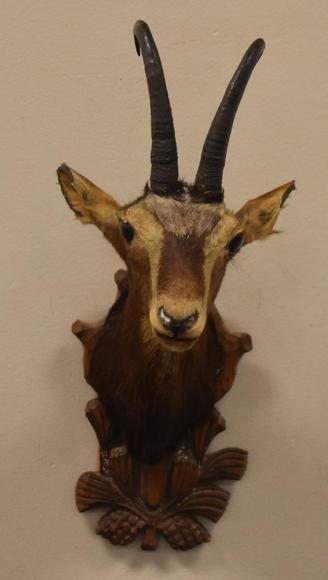 Image for Alderfer Simulcast: Field & Stream, Taxidermy and Sporting Auction - 5-31-18