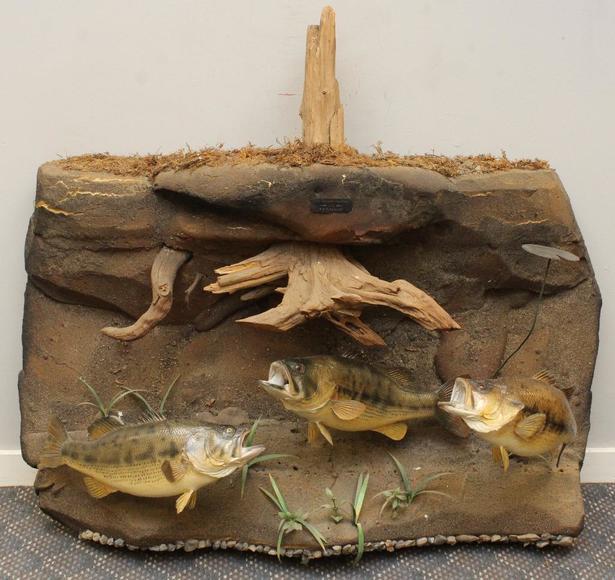 Image for Alderfer Simulcast: Field & Stream, Taxidermy and Sporting Auction - 5-31-18