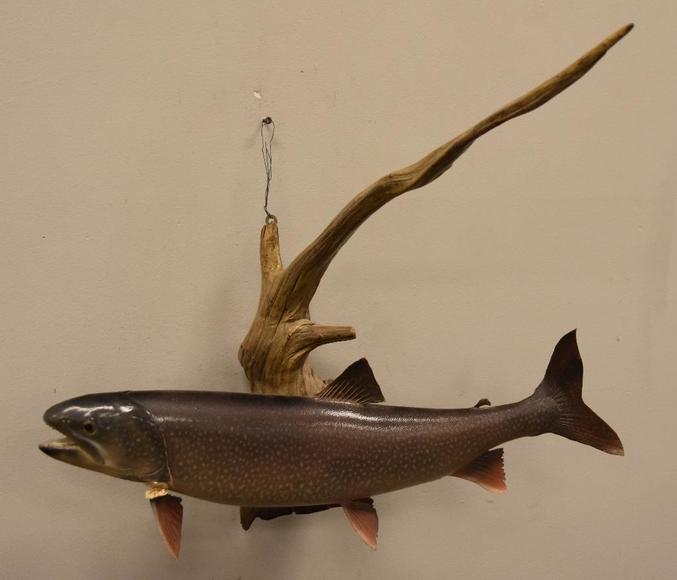 Image for Alderfer Simulcast: Field & Stream, Taxidermy and Sporting Auction - 5-31-18