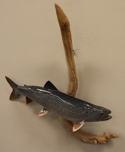 Image for Alderfer Simulcast: Field & Stream, Taxidermy and Sporting Auction - 5-31-18