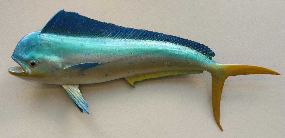 Image for Alderfer Simulcast: Field & Stream, Taxidermy and Sporting Auction - 5-31-18