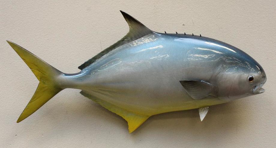 Image for Alderfer Simulcast: Field & Stream, Taxidermy and Sporting Auction - 5-31-18