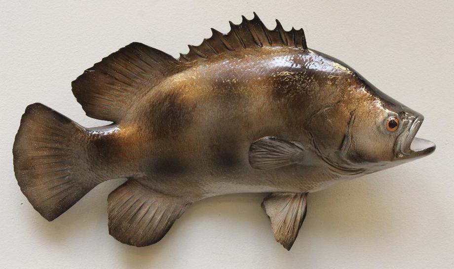 Image for Alderfer Simulcast: Field & Stream, Taxidermy and Sporting Auction - 5-31-18