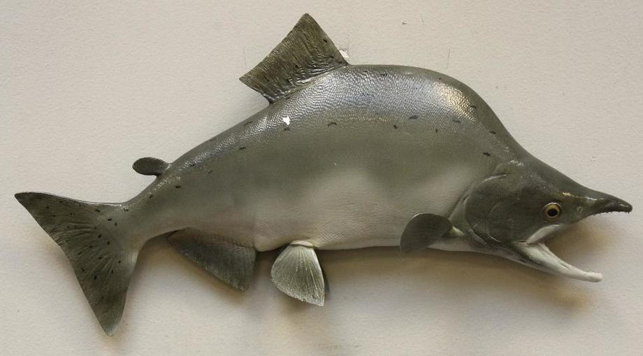 Image for Alderfer Simulcast: Field & Stream, Taxidermy and Sporting Auction - 5-31-18