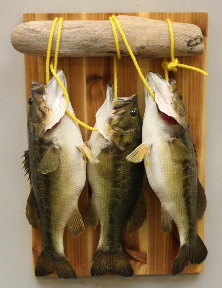 Image for Alderfer Simulcast: Field & Stream, Taxidermy and Sporting Auction - 5-31-18