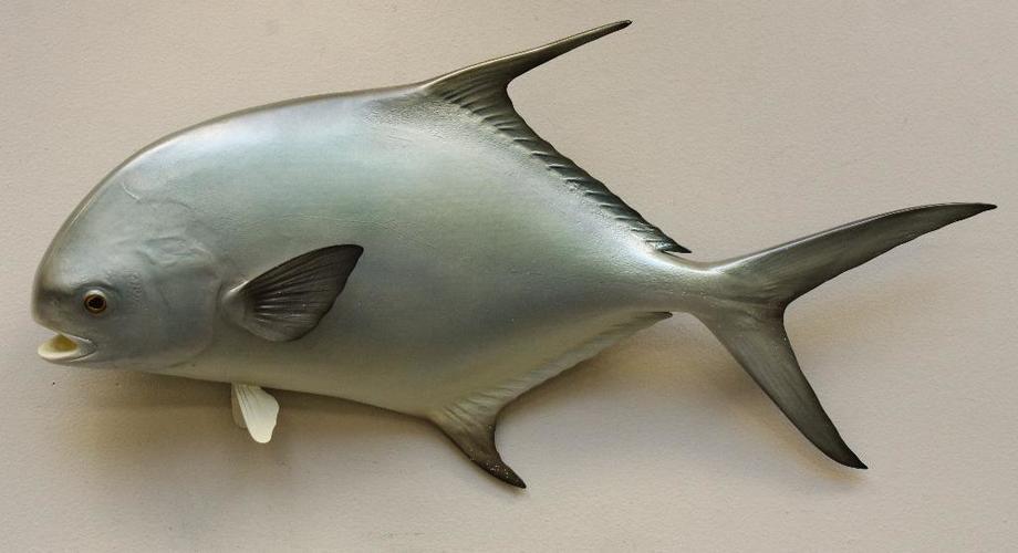 Image for Alderfer Simulcast: Field & Stream, Taxidermy and Sporting Auction - 5-31-18