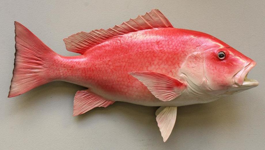 Image for Alderfer Simulcast: Field & Stream, Taxidermy and Sporting Auction - 5-31-18