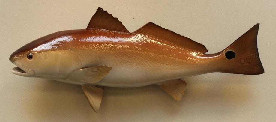 Image for Alderfer Simulcast: Field & Stream, Taxidermy and Sporting Auction - 5-31-18