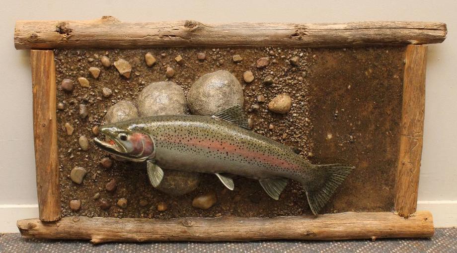 Image for Alderfer Simulcast: Field & Stream, Taxidermy and Sporting Auction - 5-31-18