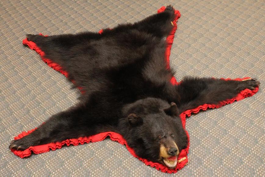 Image for Alderfer Simulcast: Field & Stream, Taxidermy and Sporting Auction - 5-31-18