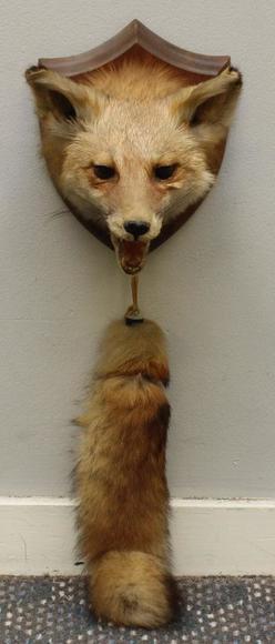 Image for Alderfer Simulcast: Field & Stream, Taxidermy and Sporting Auction - 5-31-18