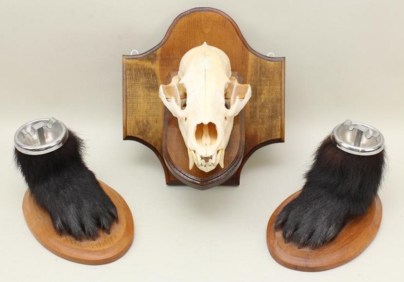 Image for Alderfer Simulcast: Field & Stream, Taxidermy and Sporting Auction - 5-31-18