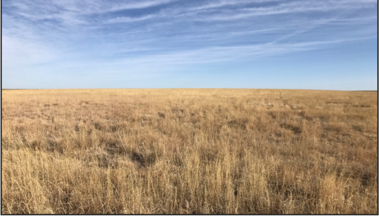 Image for LINCOLN COUNTY, CO - CRP - SOLD (C4046)