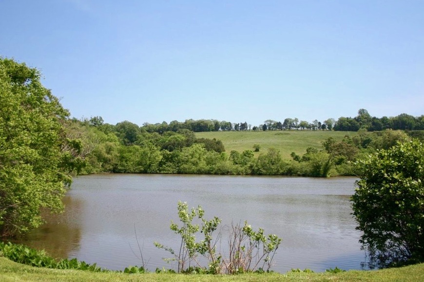 Image for Well Built 4 BR/4 Full & 2 Half BA Home on 8+ Acres PLUS Adjacent 4+ Acre Building Lot--Both Parcels Will be SOLD to the Highest Bidder!!