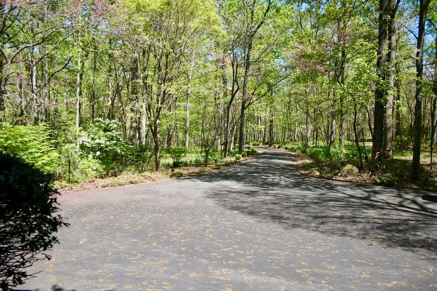 Image for Well Built 4 BR/4 Full & 2 Half BA Home on 8+ Acres PLUS Adjacent 4+ Acre Building Lot--Both Parcels Will be SOLD to the Highest Bidder!!