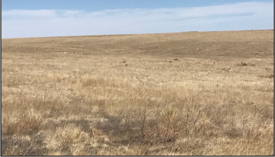 Image for LINCOLN COUNTY, CO - GRASSLAND (C4045)