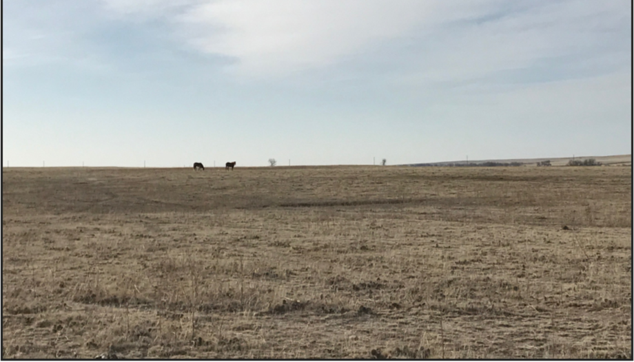 Image for LINCOLN COUNTY, CO - GRASSLAND/VACANT LOT (C4044)