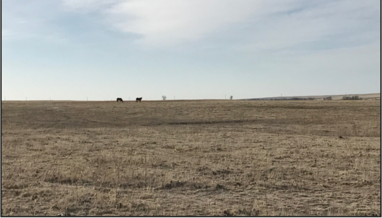 Image for LINCOLN COUNTY, CO - GRASSLAND/VACANT LOT (C4044)