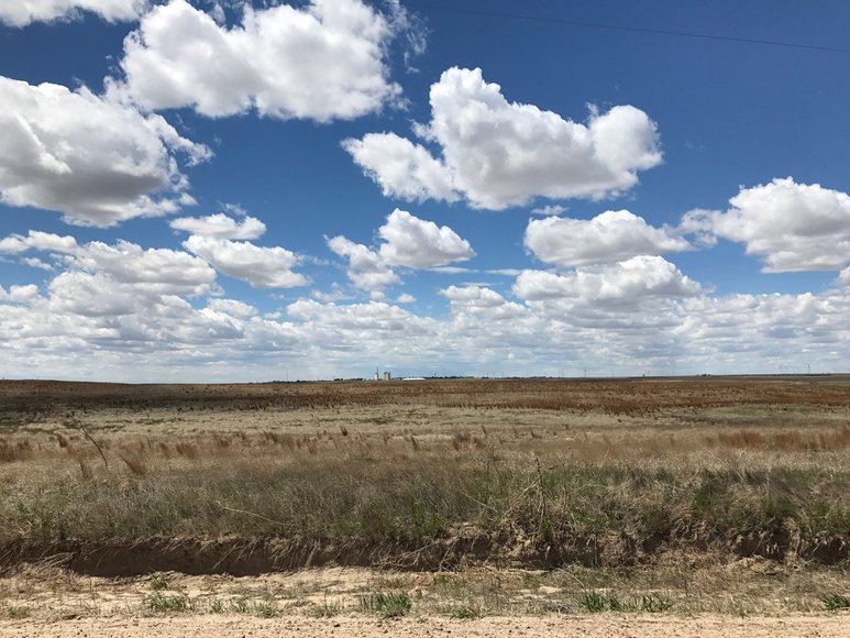 Image for SHERMAN COUNTY - CRP (C4037)