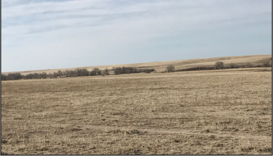 Image for LINCOLN COUNTY, CO - GRASSLAND/VACANT LOT (C4043)