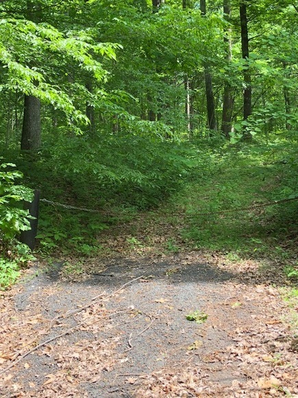 Image for 4+ Acre Building Lot--Parcel Will be SOLD to the Highest Bidder!!