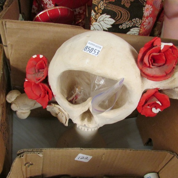 Image for Find Treasure With Discovery Lots! 5-31-18