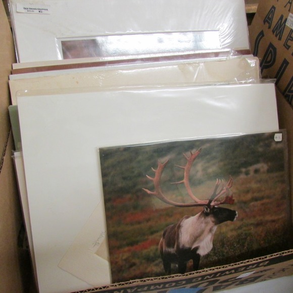 Image for Find Treasure With Discovery Lots! 5-31-18